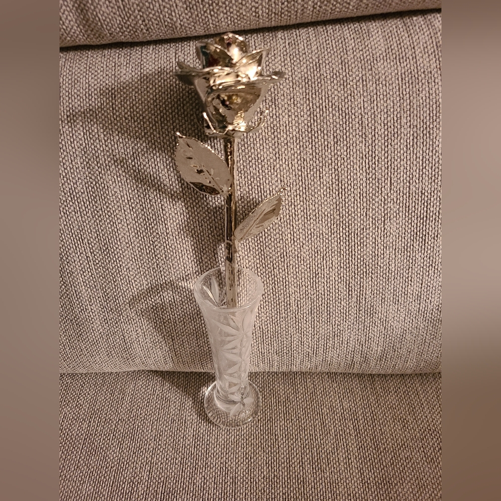 The Forever Rose